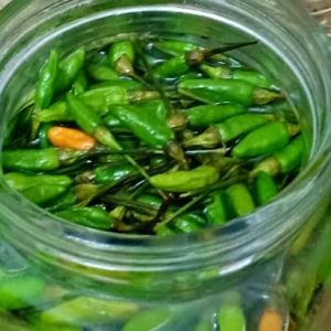 Kerala Taste Kanthari  In Brine – 300g